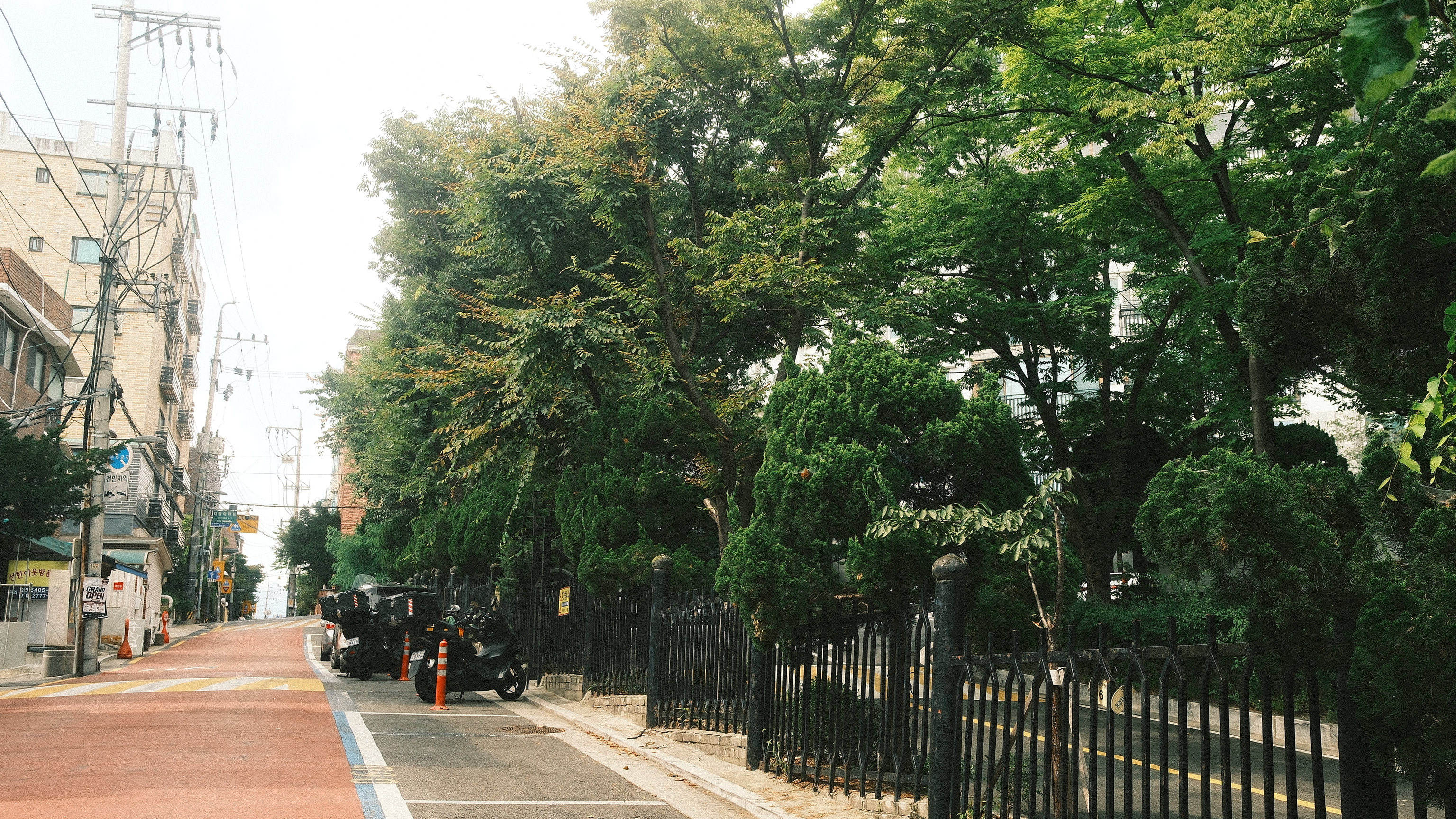 木々が並ぶ路地から見たYOONSI周辺の風景