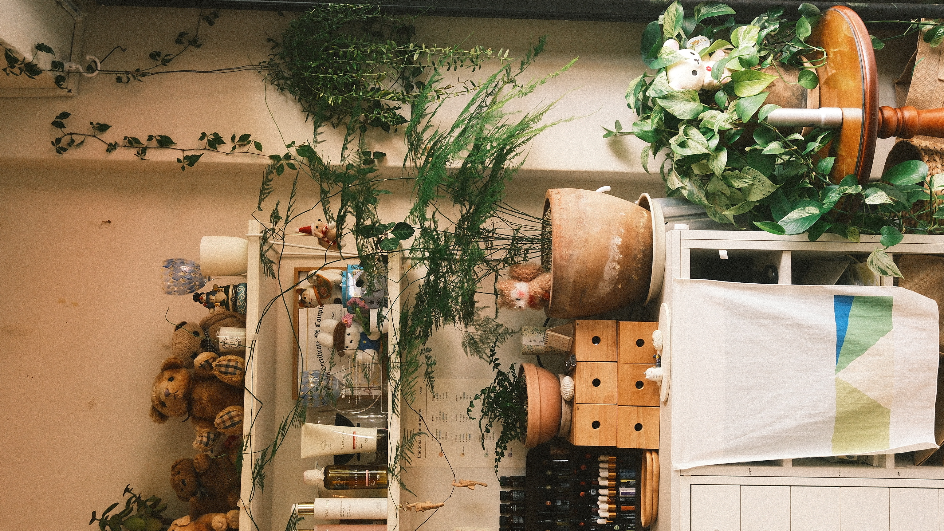 緑の植物と商品棚が調和するYOONSIの店内